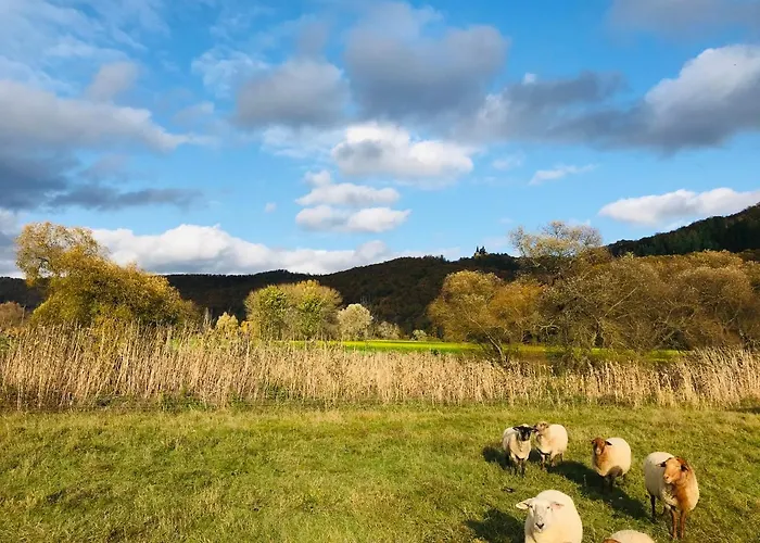 Rittergut アパート